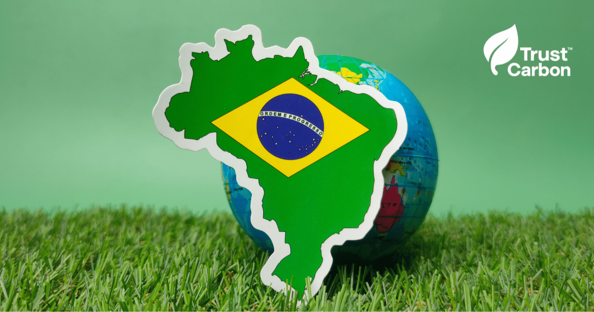 Mercado de Créditos de Carbono 2025