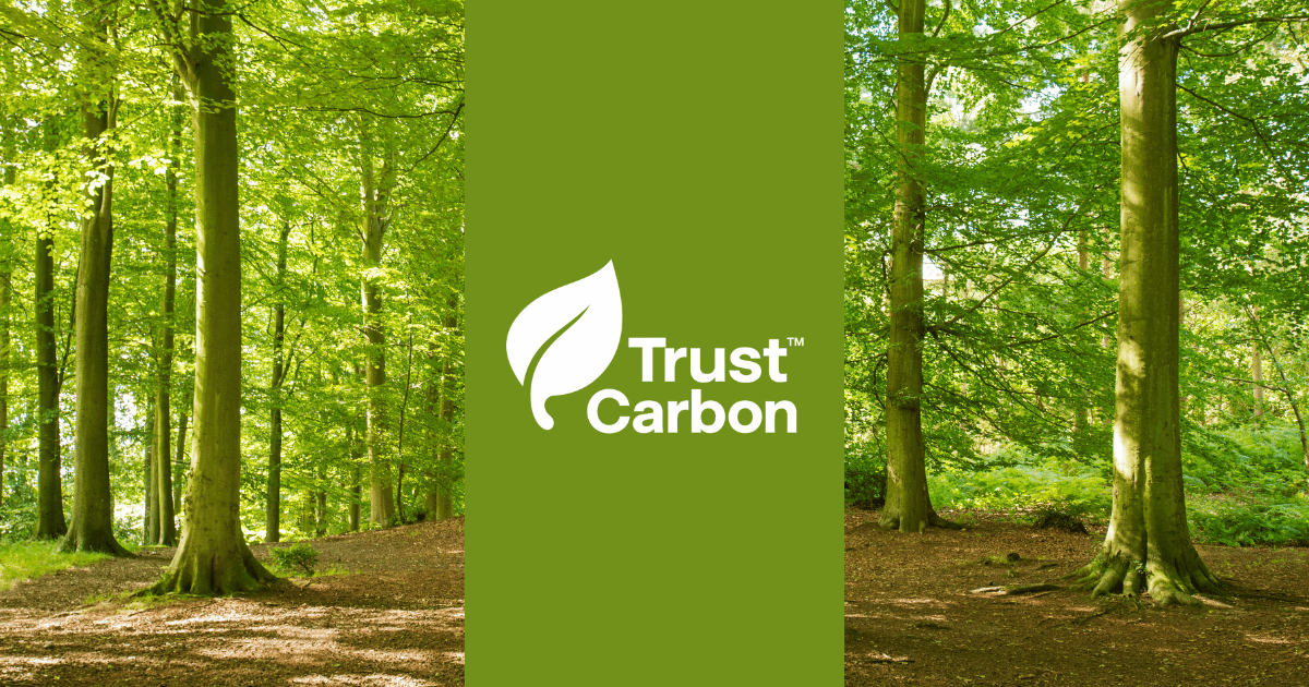 Inovação Trust Carbon
