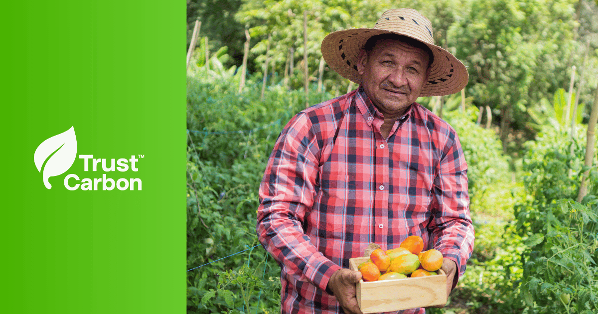 Guia Definitivo Trust Carbon